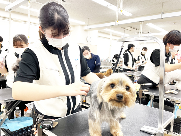 １年生のトリミング♪